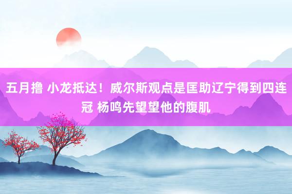 五月撸 小龙抵达！威尔斯观点是匡助辽宁得到四连冠 杨鸣先望望他的腹肌