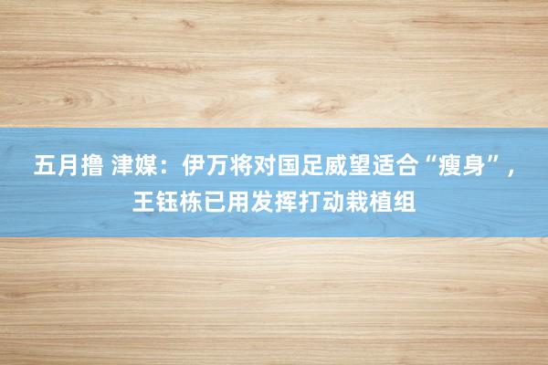 五月撸 津媒：伊万将对国足威望适合“瘦身”，王钰栋已用发挥打动栽植组