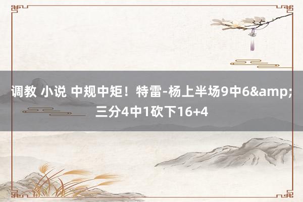 调教 小说 中规中矩！特雷-杨上半场9中6&三分4中1砍下16+4